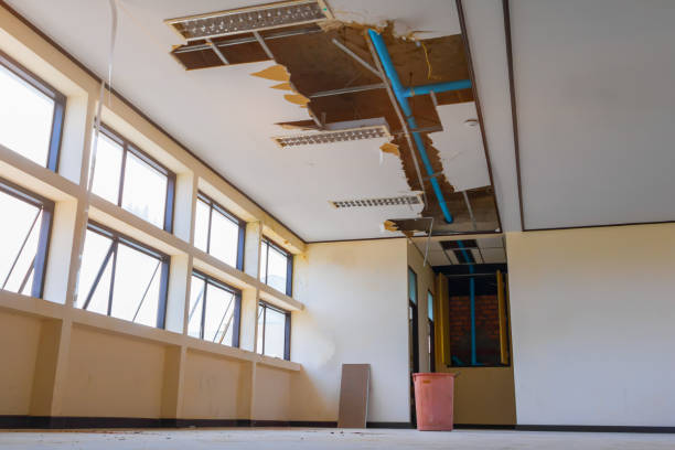 Water damage restoration mold remediation in Crystal City, MO