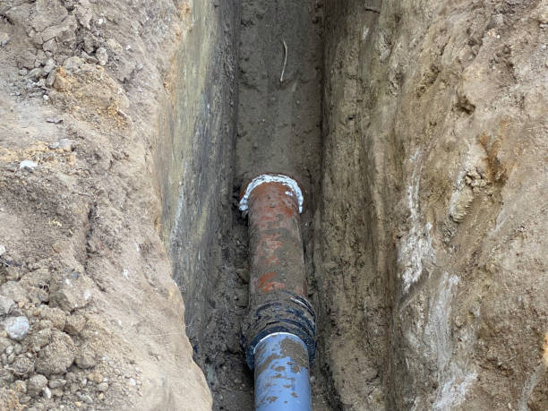 Best Flood restoration services  in Crystal City, MO
