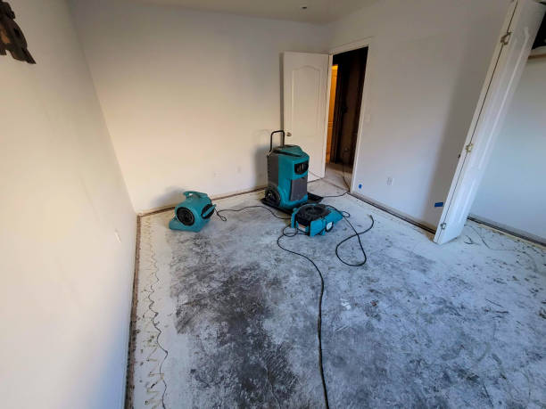 Best Water damage restoration near me  in Crystal City, MO