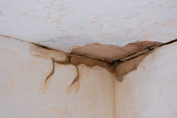 Best Ceiling water damage repair  in Crystal City, MO