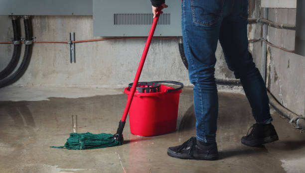 Best 24/7 water damage repair  in Crystal City, MO