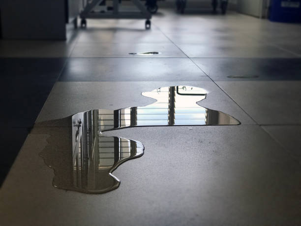 Best Commercial water damage restoration  in Crystal City, MO
