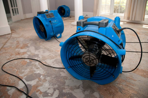 Best Sewage cleanup and water damage restoration  in Crystal City, MO