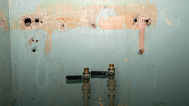Best Water damage cleanup near me  in Crystal City, MO