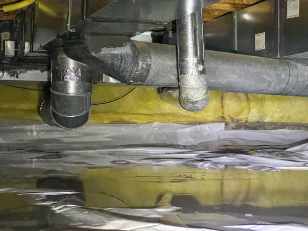 Best Water damage restoration mold remediation  in Crystal City, MO
