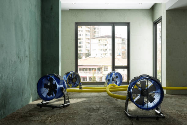 Best 24-hour water damage restoration  in Crystal City, MO