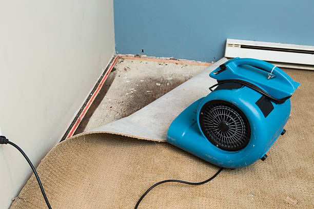 Best Water damage restoration near me  in Crystal City, MO